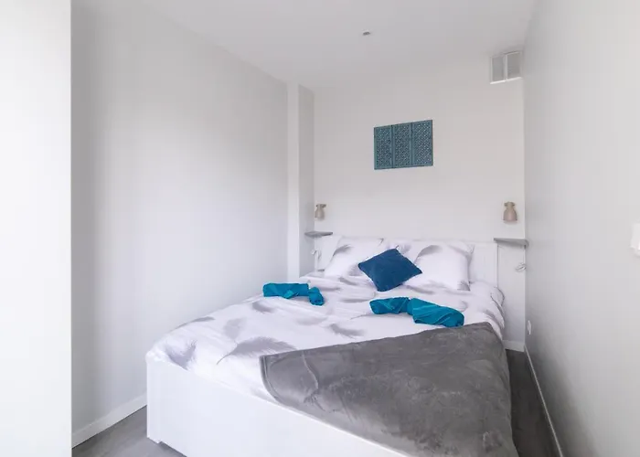 ★ Le Majorelle ★ St Georges Hypercentre ★ Netflix Toulouse